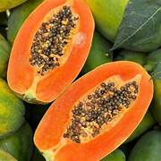 Orange Papaya fruit seeds for planting - Heirloom & Non-GMO Garden seeds
