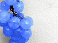 Sky Blue Grape Fruit Seeds for Planting – Heirloom & Non-GMO Garden seeds, rare variety for unique vineyards