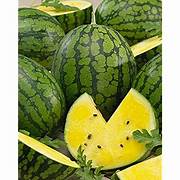Yellow Crimson Watermelon fruit seeds for planting – Heirloom & Non-GMO garden seeds for unique refreshing harvest