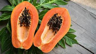Orange Papaya fruit seeds for planting - Heirloom & Non-GMO Garden seeds