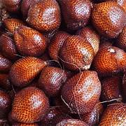 Salak fruit seeds for planting - Heirloom & Non-GMO Garden seeds for exotic tropical snakeskin fruits