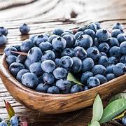 Giant Blueberry fruit seeds for planting - Heirloom & Non-GMO Garden seeds