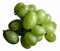 Green Grape fruit seeds for planting - Heirloom & Non-GMO home vineyard garden seeds