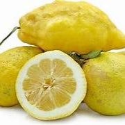 Giant Rough Lemon fruit seeds for planting - Heirloom & Non-GMO Garden seeds, hardy citrus trees for drought-prone gardens