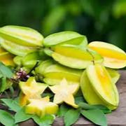 Star Fruit seeds for planting - Heirloom & Non-GMO Garden seeds for glossy exotic tropical fruits
