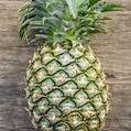 Green Pineapple Fruit Seeds for Planting - Heirloom & Non-GMO Garden Seeds