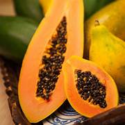 Carica Papaya fruit seeds for planting - Heirloom & Non-GMO Garden seeds