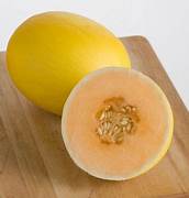 Cream Yellow Cantaloupe fruit seeds for planting - Heirloom & Non-GMO Garden seeds