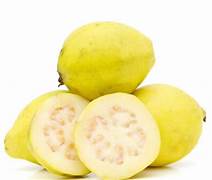 Yellow Mexican Cream Guava fruit seeds for planting - Heirloom & Non-GMO Garden seeds, sweet tropical fruit variety