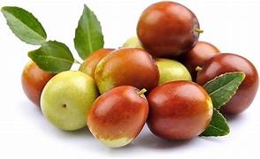 Ziziphus Mucronata Jujuba fruit seeds for planting - Heirloom & Non-GMO Garden seeds, thorny trees with sweet fruits