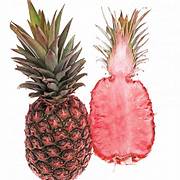 Red Pineapple Fruit Seeds for Planting - Heirloom & Non-GMO Garden Seeds