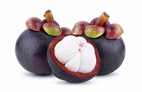 Mangosteen fruit seeds for planting – Heirloom & Non-GMO garden seeds for sweet tropical harvests