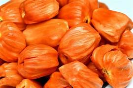 Orange Jackfruit seeds for planting - Heirloom & Non-GMO Garden seeds