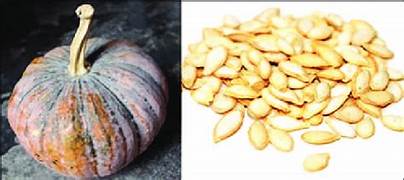 Brown Pumpkin fruit seeds for planting – Heirloom & Non-GMO hardy garden seeds