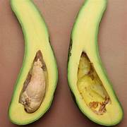 Russell Avocado fruit seeds for planting - Heirloom & Non-GMO Garden seeds