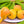 Alphonso Mango fruit seeds for planting - Heirloom & Non-GMO Garden seeds, tropical king mango for home gardens