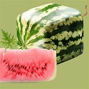 Square Watermelon fruit seeds for planting - Heirloom & Non-GMO unique novelty garden seeds