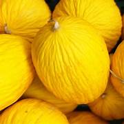 Yellow Casaba Melon fruit seeds for planting – Heirloom & Non-GMO sweet garden seeds