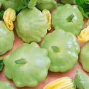 Green Tint Scallop Fruit Seeds for Planting – Heirloom & Non-GMO Exotic Fruit Seeds for Backyard Gardens