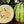 White Watermelon fruit seeds for planting – Heirloom & Non-GMO sweet rare garden seeds