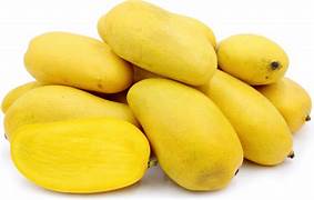 Ataulfo Mango fruit seeds for planting - Heirloom & Non-GMO sweet exotic garden seeds
