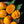 Alphonso Mango fruit seeds for planting - Heirloom & Non-GMO Garden seeds, tropical king mango for home gardens