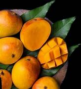 Alphonso Mango fruit seeds for planting - Heirloom & Non-GMO Garden seeds, tropical king mango for home gardens
