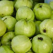 Crystal Guava fruit seeds for planting – Heirloom & Non-GMO garden seeds, crisp and juicy tropical variety