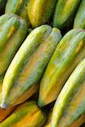 Babaco Papaya fruit seeds for planting - Heirloom & Non-GMO Garden seeds