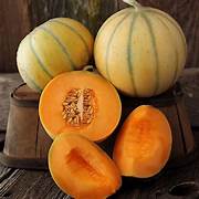 Melon fruit seeds for planting - Heirloom & Non-GMO Garden seeds, juicy flavorful garden harvests