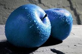 Blue Apple fruit seeds for planting - Heirloom & Non-GMO Garden seeds