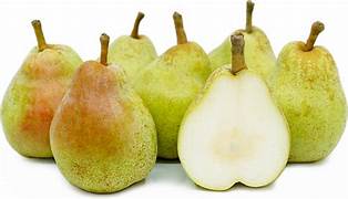 Comice Pear fruit seeds for planting - Heirloom & Non-GMO Garden seeds