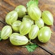 American Gooseberries fruit seeds for planting - Heirloom & Non-GMO Garden seeds, tangy nutritious berry variety