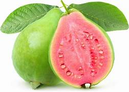 Guava Fruit Seeds for Planting – Heirloom & Non-GMO Garden seeds, tropical fruits for sweet garden harvests