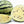 White Watermelon fruit seeds for planting – Heirloom & Non-GMO sweet rare garden seeds