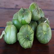 Tomatillo fruit seeds for planting – Heirloom & Non-GMO garden seeds, zesty green fruits for cooking gardens