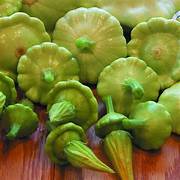 Green Tint Scallop Fruit Seeds for Planting – Heirloom & Non-GMO Exotic Fruit Seeds for Backyard Gardens