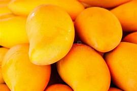 Yellow Mango fruit seeds for planting - Heirloom & Non-GMO Garden seeds