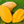 Ataulfo Mango fruit seeds for planting - Heirloom & Non-GMO sweet exotic garden seeds
