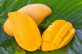 Ataulfo Mango fruit seeds for planting - Heirloom & Non-GMO sweet exotic garden seeds