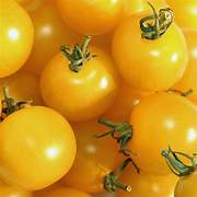 Yellow Grape Tomato vegetable seeds for planting - Heirloom & Non-GMO Garden seeds