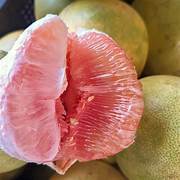 Davao Pomelo fruit seeds for planting – Heirloom & Non-GMO citrus garden seeds