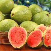 Guava Fruit Seeds for Planting – Heirloom & Non-GMO Garden seeds, tropical fruits for sweet garden harvests