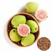 Red Guava fruit seeds for planting - Heirloom & Non-GMO Garden seeds
