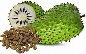 Army Green Graviola Soursop fruit seeds for planting - Heirloom & Non-GMO Garden seeds, exotic tropical tree variety