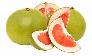 Davao Pomelo fruit seeds for planting – Heirloom & Non-GMO citrus garden seeds