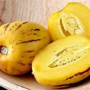 Pepino Melon fruit seeds for planting - Heirloom & Non-GMO Garden seeds