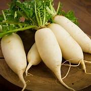 Cream Radish Fruit & Vegetable Seeds for Planting – Heirloom & Non-GMO Garden Variety – 100 pcs