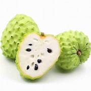 Graviola Guanabana fruit seeds for planting – Heirloom & Non-GMO garden seeds, flavorful tropical tree variety