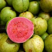 Red Guava fruit seeds for planting - Heirloom & Non-GMO Garden seeds